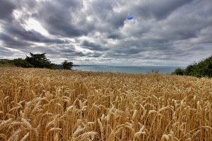  Plerin en HDR