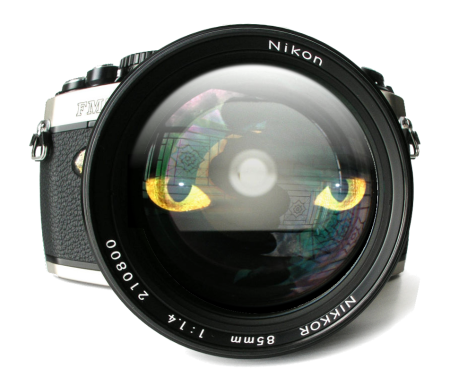 Pix's Tribe logo